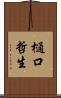 樋口哲生 Scroll