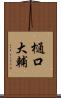 樋口大輔 Scroll