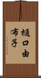 樋口由布子 Scroll