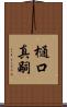 樋口真嗣 Scroll