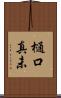 樋口真未 Scroll
