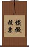 模擬投票 Scroll