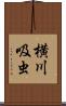 横川吸虫 Scroll