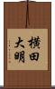 横田大明 Scroll