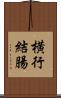 横行結腸 Scroll