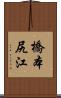 橋本尻江 Scroll