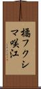 橘フクシマ咲江 Scroll