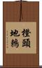 橙頭地鶇 Scroll