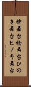 檜舞台 Scroll