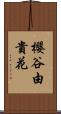 櫻谷由貴花 Scroll