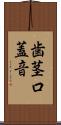 歯茎口蓋音 Scroll