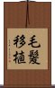 毛髪移植 Scroll