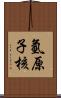 氫原子核 Scroll
