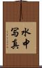 水中写真 Scroll