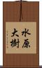 水原大樹 Scroll