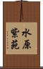 水原紫苑 Scroll