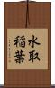 水取稲葉 Scroll