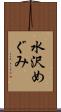 水沢めぐみ Scroll