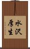 水沢厚生 Scroll