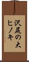 沢尻の大ヒノキ Scroll