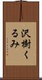 沢樹くるみ Scroll