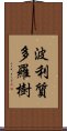 波利質多羅樹 Scroll