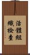 活體組織檢查 Scroll