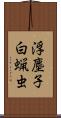 浮塵子 Scroll