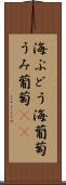 海ぶどう Scroll