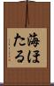 海ほたる Scroll