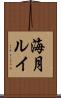 海月ルイ Scroll