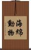 海綿動物 Scroll