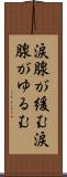 涙腺が緩む Scroll