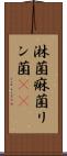 淋菌 Scroll