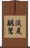 淡尾鶲鶯 Scroll