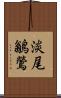 淡尾鶲鶯 Scroll