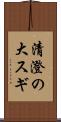 清澄の大スギ Scroll