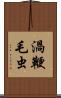 渦鞭毛虫 Scroll
