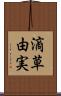 滴草由実 Scroll