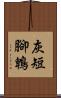 灰短腳鵯 Scroll