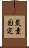 炭素固定 Scroll