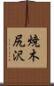 焼木尻沢 Scroll