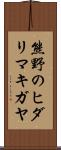 熊野のヒダリマキガヤ Scroll