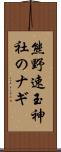 熊野速玉神社のナギ Scroll