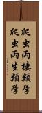 爬虫両棲類学 Scroll