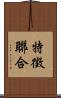 特徵聯合 Scroll