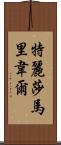 Teresa Maribel Scroll