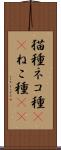 猫種 Scroll