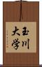 玉川大学 Scroll