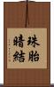 珠胎暗結 Scroll